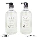 フォード CE3 シャンプー 1000ml ポンプ 合計2点セット 【ゆうパック対応】【あす楽対応】