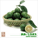 【お中元】大分県産 ハウスかぼす 2kg 【JA直送/カボス】