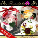 プリザーブドフラワー クリアケース付 秋限定 アーティシャルフラワー胡蝶蘭 お祝いにお花のプレゼント プリザードフラワー 誕生日 結婚祝い 開店祝い 新築祝い ギフト 彼女ホワイトデー 母の日 父の日 敬老の日 クリスマス 商品番号2526