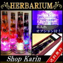ハーバリウム LEDコースター付き 植物標本 プリザーブドフ...