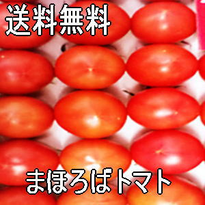 送料無料　高知県特産　まほろばトマト　1，5kg　秀品
