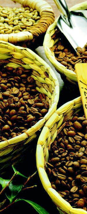 【期間限定割引】焙煎豆　OSK コーヒー（粉）中挽　アメリカンブレンド250g高度な技術で焙煎。こだわりのブレンドコーヒー