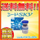 【送料無料】【最安挑戦】シードSKY/ シードスカイ(1枚)/2枚セット/常用ソフトコンタ