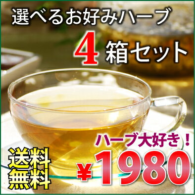 ★今だけ！お試し価格★ヨーロッパで親しまれているブルガリア産　無農薬ハーブティ　選べる4箱セット80杯分！