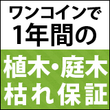 1コイン枯れ保証サービス【1年間保証】