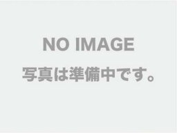 【<strong>ニプロ</strong>】 <strong>シリンジ</strong><strong>10ml</strong>（針なし）100入　(グリーン)　品番08-659