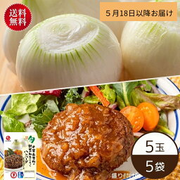 【5月18日からお届け/送料無料】【公式】石井食品 <strong>白子</strong><strong>町</strong>の<strong>新</strong><strong>玉ねぎ</strong>5玉とハンバーグ5袋のセット（冷蔵品）｜イシイ 千葉 旬の味 冷蔵保存 惣菜 レトルト おかず たまねぎ 玉葱 <strong>白子</strong><strong>玉ねぎ</strong> タマネギ 無添加調理 石井食品 イシイ食品 tb