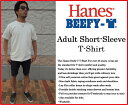 クロネコDM便なら送料180円 US ヘインズ ビーフィー Tシャツ HANES BEEFY 無地 tシャツ HANES BEEFY TEE ヘビーウエイト シンプル ヘインズ ビーフィー Tシャツ アメリカ規格 US規格 海外限定
