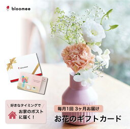 お花のギフトカード <strong>bloomee</strong> 好きなタイミングでブーケが届く！お花のギフトカード レギュラープラン お花が4本以上届く×3回お届け ブルーミー フラワー 花 花束 誕生日 5000円 6000円 7000円