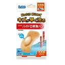 エルモ ハイドロ救急バン 大きめサイズ(6枚入) 【正規品】【k】【ご注文後発送までに1週間前後頂戴する場合がございます】