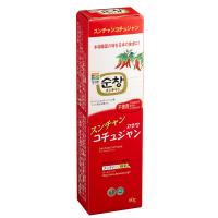 【送料無料】大象(テサン)ジャパン　スンチャン　コチュジャン(チューブ)　60g×40 【c】【正規品】【ご注文後1週間前後で出荷となります】