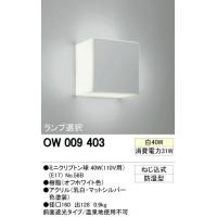 【送料・代引き手数料無料】オーデリック　OW009403　バスルームライト「Cube(キューブ)」(白熱灯40W) 【c】【s】【正規品】【ご注文後1週間前後で出荷となります】