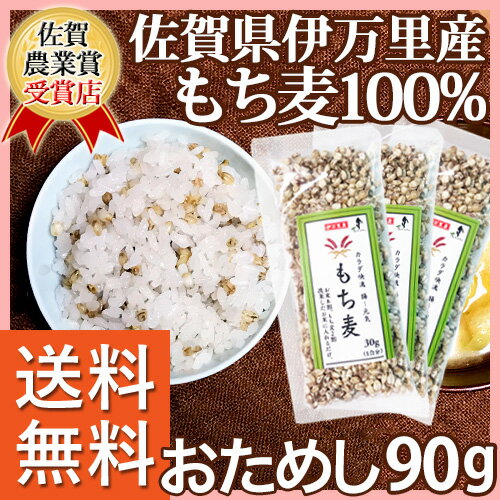  Y (ꌧY) 90g(30g~3)  Y 28NxY 󏭂ȍY_CV`100% H@ۂՂ 悭_CGbgɂ ͂  唞