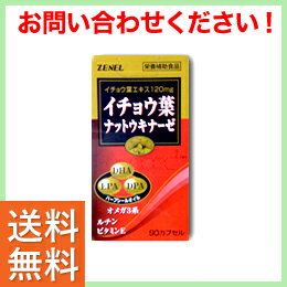 【送料無料】【レビューでおまけ付き】「イチョウ葉ナットウキナーゼ　90粒」物忘れ、気になりませんか？