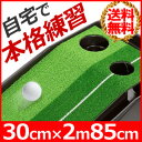 送料無料 パターマット 練習 30cm × 2m85cm 2ホール ホール幅 9cm 7.5cm パター練習 パター練習マット 練習器具 パター練習器具 ゴルフ パターマット ライン入り マット ゴルフ用品 スポーツ 練習グッズ 上達 グリーンマット 本格的 3m 0721