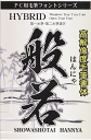 高解像度書体【般若】