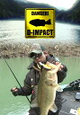 D-IMPACT 34 2011年早春 水位-28mの池原ダム【動画配信】