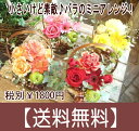 あす楽 送料無料 小さいけど素敵!バラのミニアレンジ 花 お祝い 誕生日プレゼント 女性 女友達 生花 ギフト 薔薇 プレゼント 母 即日発送 アレンジメント アレンジメントフラワー お見舞い 発表会 お誕生日 退職祝い 送別会 結婚記念日【花屋】