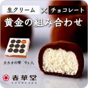 【春華堂公式】当店リピート率NO.1 カカオの雫9個入り|母の日 父の日 プチギフトお菓