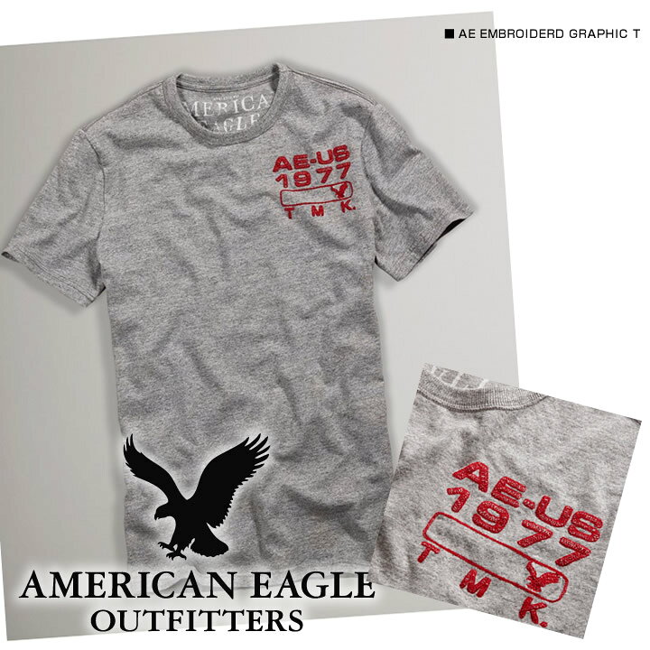 售: 美国鹰T恤AE EMBROIDERD GRAPHIC T四