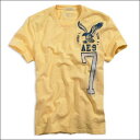 48OFF!2010ǯտAmerican Eagle(ȾµT)(ᥫ)(XS,S,M,L,XL)ꥫ󥤡  ȾµT AE HERITAGE T ӡ(0164-2948)