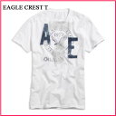 37OFF!2010ǯտAmerican Eagle(ȾµT)(ᥫ)(XS,S,M,L,XL)ꥫ󥤡  ȾµT EAGLE CREST T ۥ磻(0162-2915)