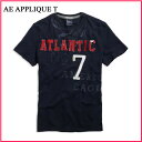 67OFF!2010ǯտAmerican Eagle(ȾµT)(ᥫ)(XS,S,M,L,XL)ꥫ󥤡  ȾµT AE APPLIQUE T ǥץͥӡ(0181-2796)