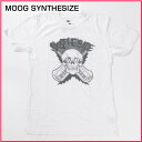 20OFF!2010ǯLocal Celebrity(ȾµT)(ᥫ)(S,M,L)륻֥ƥ  ȾµT MOOG SYNTHESIZE ۥ磻