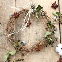 自分で作る簡単キット*ヒペリカムのリース/クリスマスリース 手作り ギフト クリスマス飾り インテリア 北欧風 ナチュラル ドライフラワー