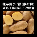 じゃが芋(種いも用灰)【種イモの表面抗菌】(50g