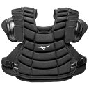 【送料無料】ミズノ 審判インサイド(硬式、軟式、ソフト兼用) ブラック Mizuno 1DJPU110 09
