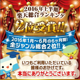 【2015年SOA関東甲信越エリア賞店】【送料無料】メダリストワンデープラス30枚パック6箱セット(メダリストワンデー/メダリストワンデープラス/メダリスト/メダリスト1day/1日使い捨て)