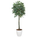 【2019年新商品】【送料無料】パキラ 2.0 (造花) 高さ200cm 光触媒 (140F700)(店舗用品/光触媒 人工観葉植物・造花・フェイクグリーン/フロア(鉢型)用/165cm以上)