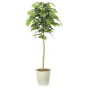 【2019年新商品】【送料無料】ケヤキ1.6 (造花) 高さ160cm 光触媒 (904A330)(店舗用品/光触媒 人工観葉植物・造花・フェイクグリーン/フロア(鉢型)用/125~160cm)