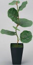 シーグレープ (人工観葉植物) 高さ55cm 光触媒 (店舗用品/光触媒 人工観葉植物・造花・フェイクグリーン/テーブル(卓上)用)
