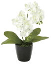 ミニオーキットW (造花) 高さ23cm 光触媒 (店舗用品/光触媒 人工観葉植物・造花・フェイクグリーン/テーブル(卓上)向け)