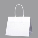 【送料無料♪】手提袋 Pスムースバッグ 25-19 未晒無地 (300枚セット)(店舗用品/ラッピング用品/紙袋)