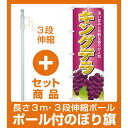 【セット商品】3m・3段伸縮のぼりポール(竿)付 のぼり旗 キングデラ (SNB-1359)