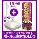 【3点セット】のぼりポール(竿)と立て台(16L)付ですぐに使えるのぼり旗 キングデラ (SNB-1359)