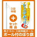 【セット商品】3m・3段伸縮のぼりポール(竿)付 のぼり旗 ...