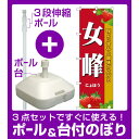 【3点セット】のぼりポール(竿)と立て台(16L)付ですぐに使えるのぼり旗 女峰 (SNB-1418)