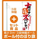 【セット商品】3m・3段伸縮のぼりポール(竿)付 のぼり旗 ナポリタンスパゲティ 名古屋名物 (白) (SNB-3533)