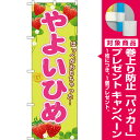 のぼり旗 やよいひめ (果物・フルーツ/いちご)