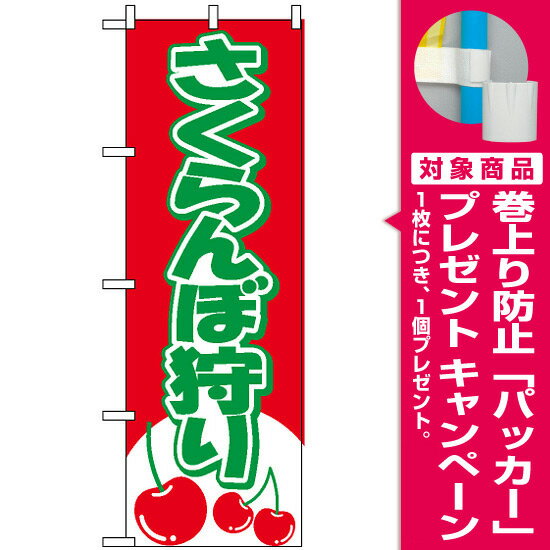 【プレゼント付】のぼり旗 さくらんぼ狩り のぼり
