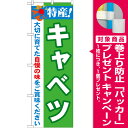 【プレゼント付】のぼり旗 特産!キャベツ (21492) 農園の直売所や即売所/イベント/果物狩り/味覚狩り会場の販促・PRにのぼり旗 (野菜・果物 直売所/)