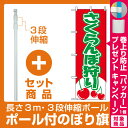 【プレゼント付】【セット商品】3m・3段伸縮のぼり