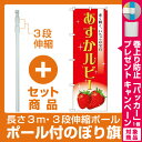 【セット商品】3m・3段伸縮のぼりポール(竿)付 のぼり旗 あすかルビー (SNB-1423)(果物・フルーツ/いちご)