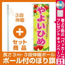 【セット商品】3m・3段伸縮のぼりポール(竿)付 のぼり旗 やよいひめ (SNB-1427)(果物・フルーツ/いちご)