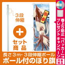 【セット商品】3m・3段伸縮のぼりポール...