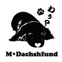 セミシルエット ワンポイント ステッカー ミニチュアダックス ミニチュアダックスフンド 1犬 犬ステッカー ペット ペットステッカー ステッカー